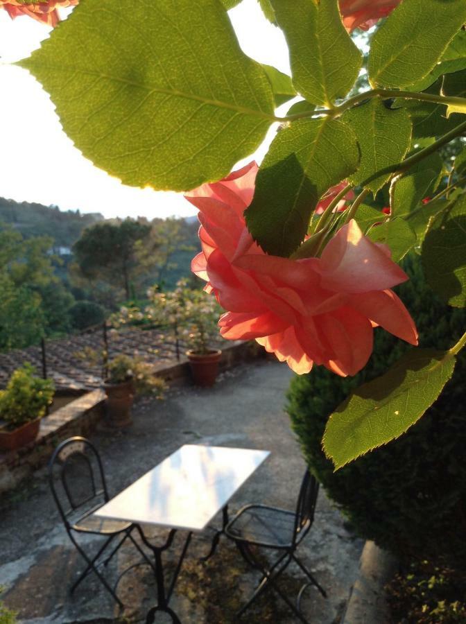 Fiesole In Giardino B&B Exterior foto